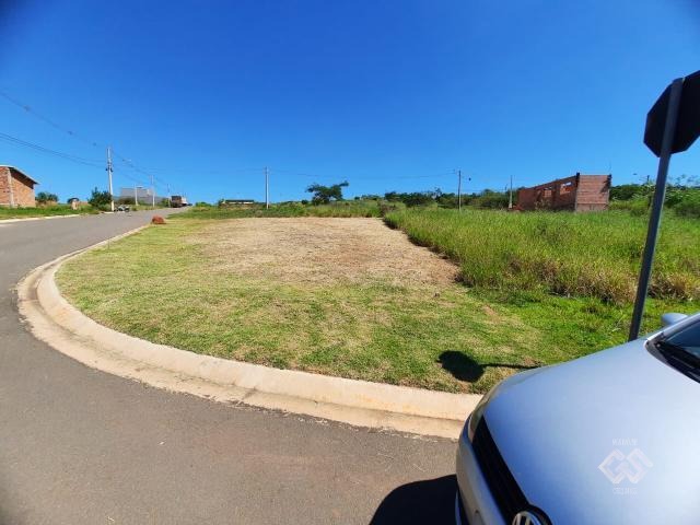 Lote 24 Quadra AI